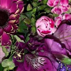 Meet your Posher, Kylie